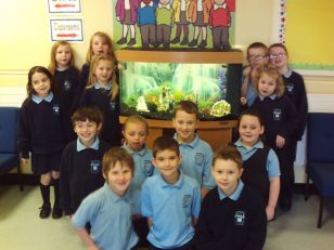 P3/4/5 : Our Bob